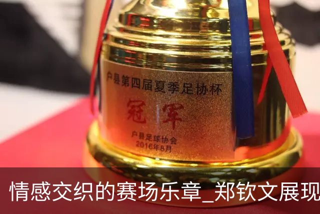 情感交织的赛场乐章 郑钦文展现最辉煌的自己