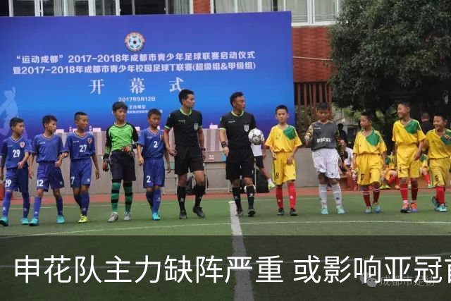 申花队主力缺阵严重 或影响亚冠首轮表现